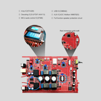 FX Audio D802C PRO variant 15