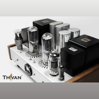 ThivanLabs Special ultimate monoblock 845PP Amplifiers variant 5