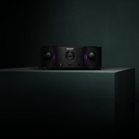 Marantz PM-10 variant 5