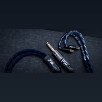 Oriolus PW AUDIO Orpheus with Shielding variant 7