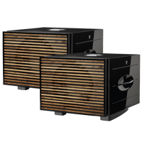REL Acoustics Carbon Special Black Label variant 8