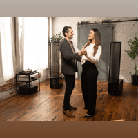 MartinLogan Impression  ESL 11A variant 49