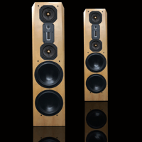 Legacy Audio Focus SE variant 2