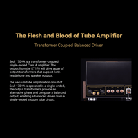 Cayin Soul 170HA variant 15