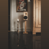 Buchardt Audio E50 variant 12