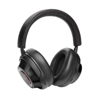 Mark Levinson № 5909 variant 9