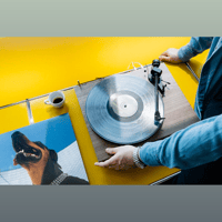 Pro-Ject Audio Systems Debut EVO 2 variant 3