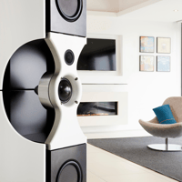 PMC Fenestria variant 2