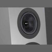 Davis Acoustics Courbet N°8 variant 9