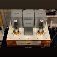 ThivanLabs GOLD 845 – V25 variant 5