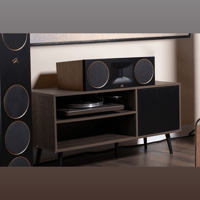 MartinLogan Motion XT C100 variant 1