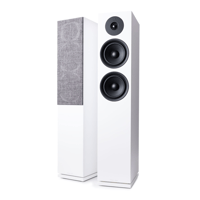 Argon Audio FORUS 55 variant 7