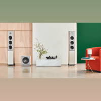 Audiovector R Sub variant 9