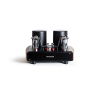 Mastersound Booster (coppia) variant 1