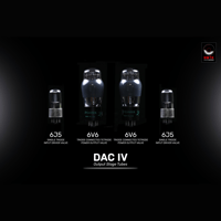 SW1x DAC IV variant 12