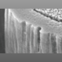 ANALOG RELAX Analog Relax Anti-Static Brush for Audio Equipment variant 7