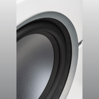 MartinLogan Dynamo 10 variant 48