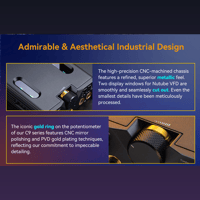 Cayin C9ii variant 38