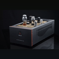 SW1x MPA III “Oracle” Mono Power Amplifier variant 23