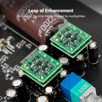 Fosi Audio SparkoS Labs SS3602, Burson V7, MUSES02, OPA2134PA variant 5