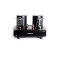 Mastersound Monoblock 845 (pair) variant 1