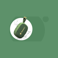 FiiO ANYWHERE variant 6