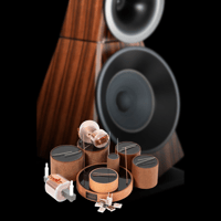 odeon audio Carnegie variant 12