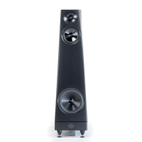 YG Acoustics Summit variant 2
