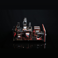 SW1x AMP IV “Aura” Integrated Amplifier variant 6