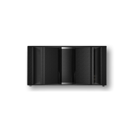 Theory Audio Design SR-218LF Maximum Output Manifold Bass Reflex Subwoofer