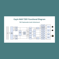 Cayin T201 Audio Motherboard variant 12