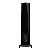 GoldenEar T44 Hybrid Floorstanding Loudspeaker variant 4