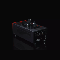 SW1x MPA I “Neptune” PP Mono Power Amplifier variant 5