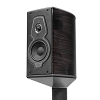 Sonus Faber Guarneri variant 2
