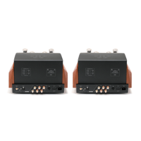 Unison Research Reference variant 4