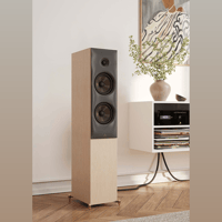 Revival Audio SPRINT 4 variant 6