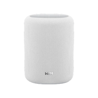 WiiM Sound Lite variant 2