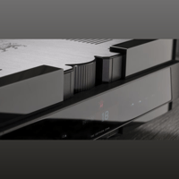 Gryphon Audio Zena variant 4