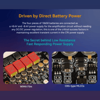 Cayin C9ii variant 31