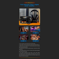 FX Audio L06 Fully balanced line architecture power amplifier variant 8