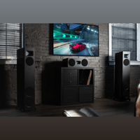 MartinLogan Motion C10 variant 1
