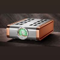 Dan D’Agostino Momentum Z Monoblock Amplifier variant 2