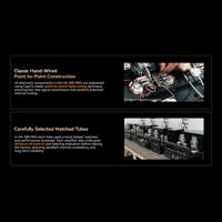 Cayin HA-300 MK3 variant 11