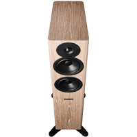 Dynaudio Evoke 30 variant 18