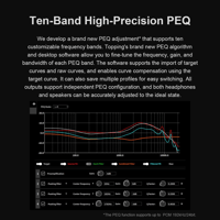 Topping DX9 Discrete variant 10