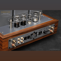 ThivanLabs EAGLE 845 H&S variant 7