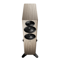 Dynaudio Focus 30 variant 19