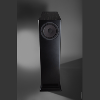 Davis Acoustics MV One Master variant 7