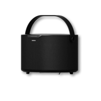 BRANE AUDIO Brane X variant 2