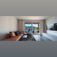 MartinLogan IC3 variant 15